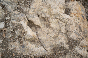Trace, Dinosaure, alligaurus, Megalossaurus, Mongisty, Montjaux, 12, Aveyron, France