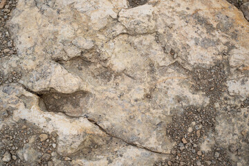 Trace, Dinosaure, alligaurus, Megalossaurus, Mongisty, Montjaux, 12, Aveyron, France