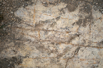 Trace, Dinosaure, alligaurus, Megalossaurus, Mongisty, Montjaux, 12, Aveyron, France