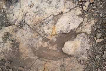 Trace, Dinosaure, alligaurus, Megalossaurus, Mongisty, Montjaux, 12, Aveyron, France