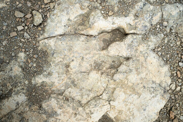 Obraz premium Trace, Dinosaure, alligaurus, Megalossaurus, Mongisty, Montjaux, 12, Aveyron, France