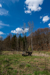 Amazing green meadow in the mountains. Meadow covered with blue sky filled with white fluffy clouds. Spring nature photography.