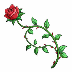 vector illustration of a rose