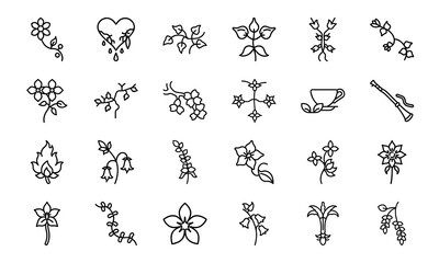 Minimal Feminine Botanical Flower Line Art Icon Bundle 24 Elegant Floral, Herbal, and Womb Illustrations for Feminist, Wellness, and Nature-Inspired Design