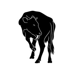 Black Cow Silhouette Vector Self Grooming Licking - Farm Animal Care Icon