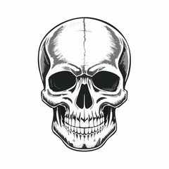 Obraz premium Skull in Monochrome: A detailed monochrome illustration of a human skull, stark and striking, emphasizing the structure and form of the skull in a classic artistic style.
