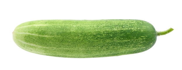 Fresh Cucumber isolated on white background.