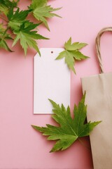 Obraz premium Blank tag, green leaves, kraft paper bag on pink background