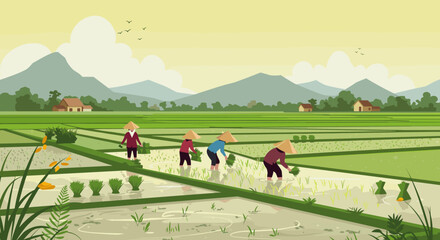 Asian farmers working in lush rice paddy field with scenic mountain backdrop. Vector illustration