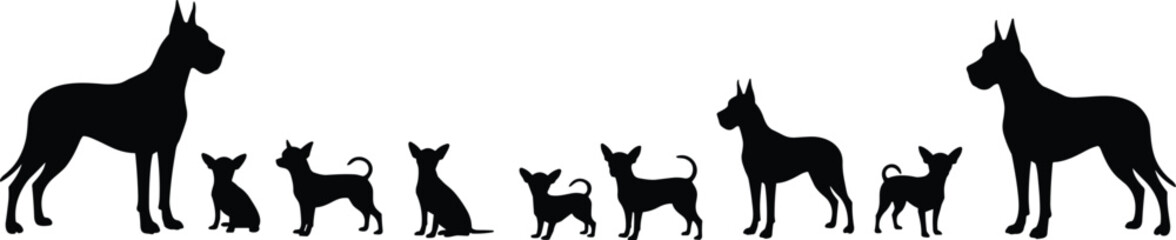 Silhouette of large Great Danes and tiny Chihuahuas, dog breed size comparison, pet vector graphic, black outline dogs, isolated illustration, animal design element