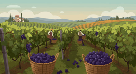 Scenic vineyard with farmers harvesting grapes in picturesque countryside setting. Vector illustration