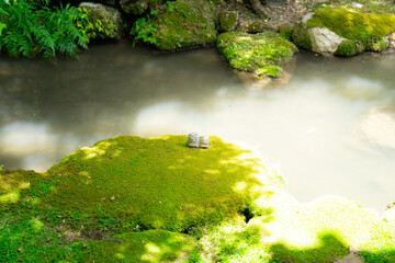 柳谷観音楊谷寺
