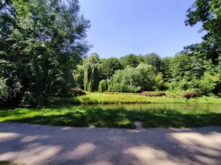 Sunny Summer Day in Warsaw City Park with Pond, Willow Trees and Green Landscape