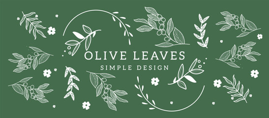 Hand-drawn olive branch with fruits and leaves in engraving style