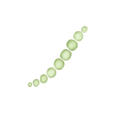 A watercolor illustration of a collection of light green peas in various sizes scattered on a white background. This fresh and natural design highlights the delicate texture and color, perfect for