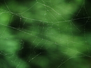 old fragments of a broken spider web of thin lines with green dark background