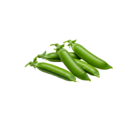 A fresh pile of vibrant green pea pods isolated on a transparent background, perfect for promoting healthy, plant-based ingredients and vegetarian food lifestyle visuals in high resolution.

