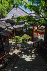 Obraz premium 柳谷観音楊谷寺の花手水