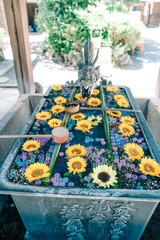 柳谷観音楊谷寺の花手水