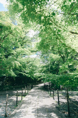 京都の西山のお寺