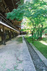 京都の西山のお寺