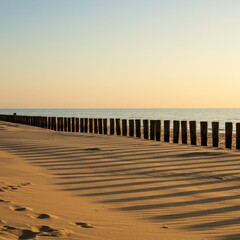 Sandy beach with wooden posts and tranquil ocean view