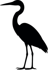 Obraz premium Great Egret vector silhouette design