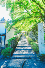 京都の善峯寺の風景