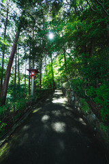 京都の善峯寺の風景