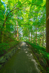 京都の善峯寺の風景