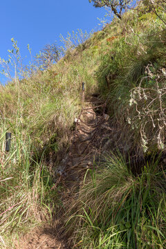 Dilapidated chain ladder on the Rainbow Gorge hiking trail