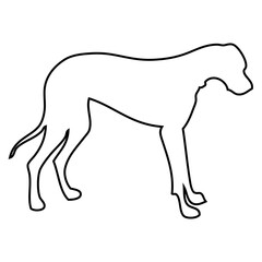 dog icon line_2