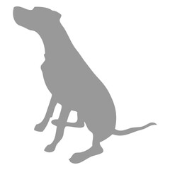 dog icon shadow_3