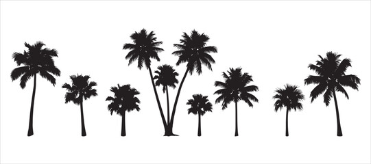 Collection of Palm Tree Shadows on white

