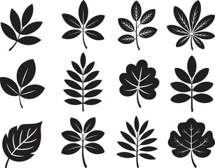 Diverse botanical leaf silhouettes with detailed veins leaves nature