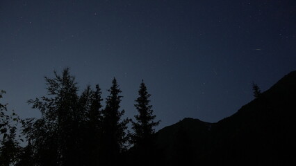 Star trails paint the night sky above a majestic mountain and a group of pine trees, creating a breathtaking scene of natural beauty and tranquility