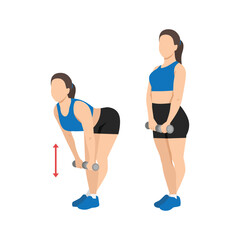 Dumbbell Deadlift, Posterior Chain Strength Builder. Flat vector illustration isolated on white background