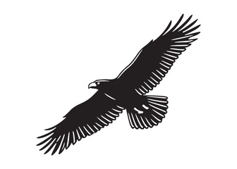 Powerful Bald Eagle in Flight: Black and White Vector Illustration, Freedom Symbol.