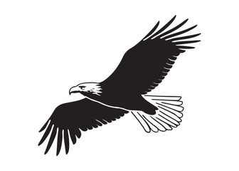 Powerful Eagle in Flight: Monochrome Vector Illustration, Freedom and Soaring Concept.