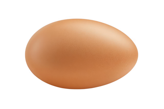 Capture of a Single Egg On black Background, In Studio Photography.