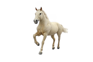 graceful horse in motion, running With Concept freedom and elegance