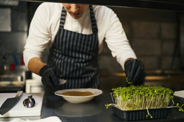 Young adult Caucasian man wearing striped apron and black gloves preparing gourmet dish in professional kitchen, arranging fresh microgreens on plate with focused attention