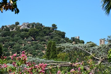 Hyères - Le Château médiéval en ruine au sommet de la colline du Castéou