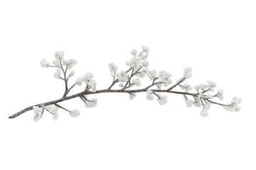 Fototapeta premium Capture Winter, Branch Covered in Snow Details with a Festive Mood