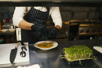 Caucasian young adult man wearing striped apron and black gloves garnishing soup with fresh microgreens in professional kitchen, chef preparing dish at stainless steel counter, culinary presentation
