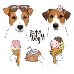 Hand-drawn set with cute Jack Russell Terrier dogs with ice cream and sunglasses in a sketch style.