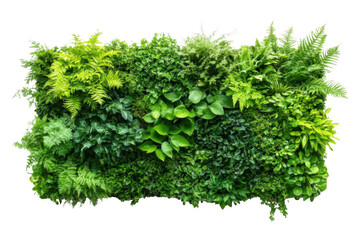 Obraz premium Explore Lush Green Wall, Natural Beauty and Vertical Garden with Ferns and Foliage.