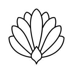 outline illustration turkey feathers fan out vector