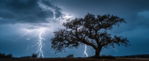 The majestic tree illuminated by striking lightning during a dramatic stormy night