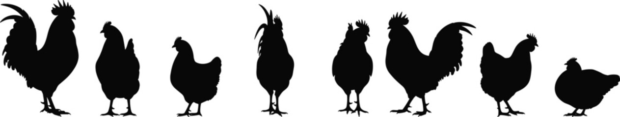 Chicken and rooster silhouette set in black cad vector style for farming, poultry breeding, rural lifestyle, food and agriculture conceptsChicken and rooster silhouette set in black 